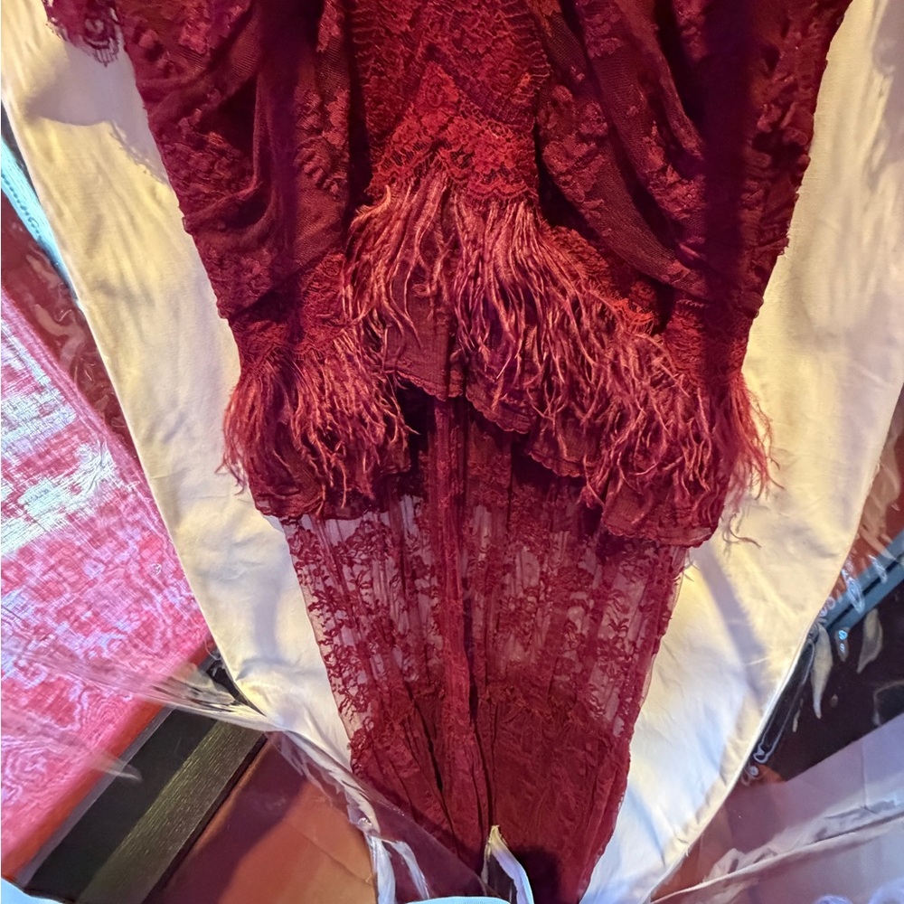 Elegant Burgundy Lace and Feather Floor-Length Long-Sleeve Maxi Dress BNWT 36 - Picture 4 of 7